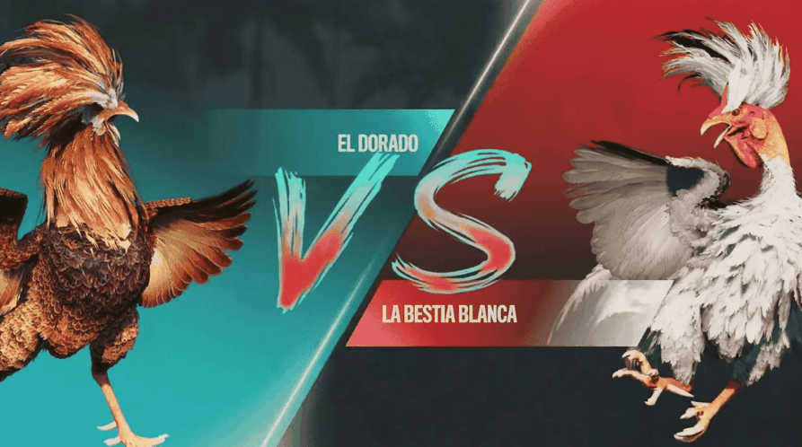 win444 Registro Online e E-Sports Online